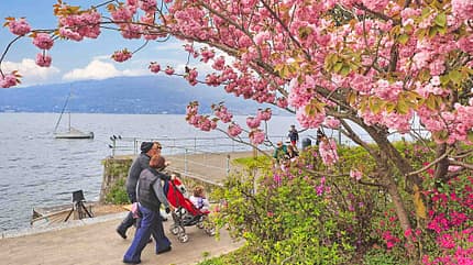 campingplatz-tipp, lago maggiore, italien, village conca d’oro Blütenrausch