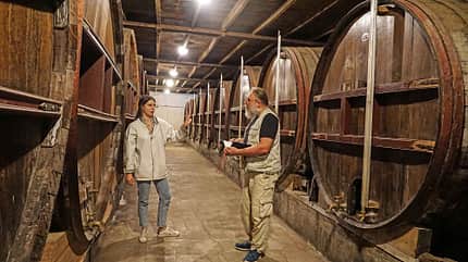 Cider, Brauerei Fässer, Cider, Brauerei