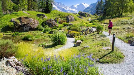 Garten, Italien, Alpen