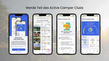 Stellplatz-Radar-App Stellplatz-Radar-App
