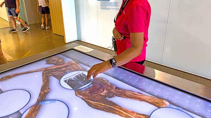Museum, Geschichte Ötzi, Museum, Geschichte
