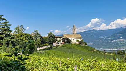 Stadt, Wein Kurtatsch, Stadt, Wein