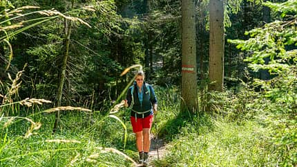 Camping-Tipps, Österreich, Wandern, Hausberg f_Camping-Tipps_Österreich_Wandern