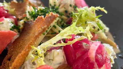 xo_Bayern Österreich_Saibling