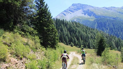 Fahrrad, Berge, Wandern, Österreich