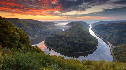 Welcome to the jungle