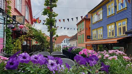 Blumen, Norwegen, Camping, Frankia Neo, Wohnmobil