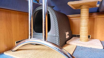 f_Katzen_im_Reisemobil_Tisch