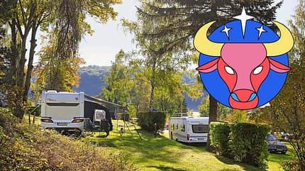 Dauercampingplatz, Stier