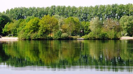 Wood - Material,Tree,Reflection,Tree Area,Water,Tower,Holzgerüst,Lippstadt Alberssee