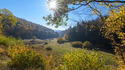 Rothenbuch, Räuberland, Spessart, Wald, Sonne, Herbst Herbststimmung in Rothenburg, Spessart