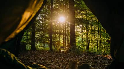 "Story Trekkingplätze" Trekking, Zelt, Sonnenaufgang, Wald, Spessart, Räuberland