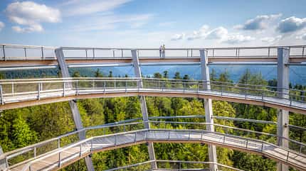 Aussichtsplattform, Baumwipfelpfad, Kletterpark, Schwarzwald, Naturcamping