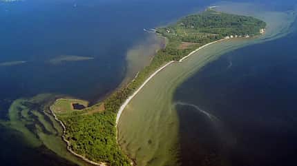 Vilm, Insel, Urwald, Rügen