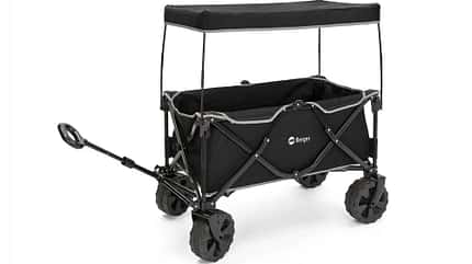 Berger Beach Bollerwagen mit Sonnendach (Set) Berger Beach Bollerwagen mit Sonnendach (Set)