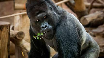 Prager Zoo