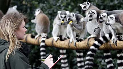 Chester Zoo