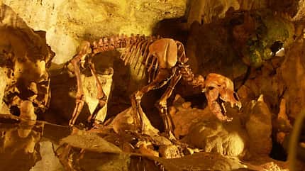 Bärenhöhle, Tropfsteine, Höhle, Sonnenbühl, Schwäbische Alb Skelett, Bärenhöhle, Tropfsteine, Höhle, Sonnenbühl, Schwäbische Alb