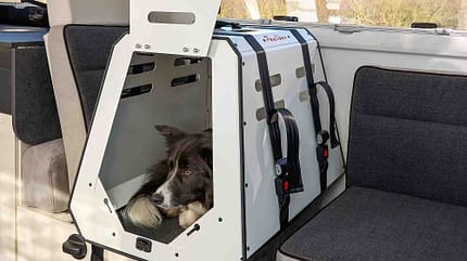 Camping mit Hund, Camping, Hund, Transportbox