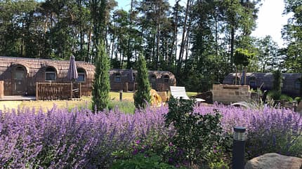 Iglucamp Heidewald, Blüten, Häuschen, Bäume