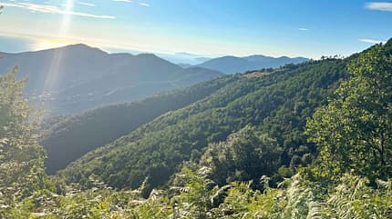 xo_Camping_Ligurien_Villaggio_dei_Fiori