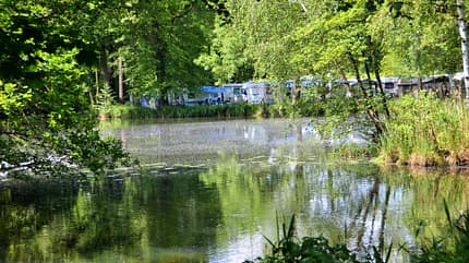 i_Insektenschutz_Teich
