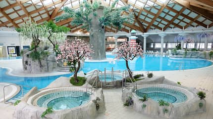 Terme Catez, Winter Thermal Riviera, Therma Spa, Innenbecken, Whirlpool, Bäume, Innenbereich Innenbecken und Whirlpool in der Winter Thermal Riviera der Terme ?atež, umgeben von Bäumen.