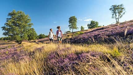 Lüneburger Heide
