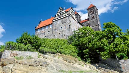 IM WELTBERÜHMTEN GARTENREICH Dessau-Wörlitz beginnt es jetzt überall zu blühen.