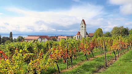 Wohnmobil-Tipp: Hagnau am Bodensee
