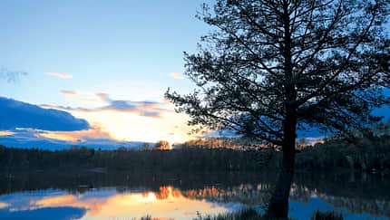 Mobil-Tour: Westerwald
