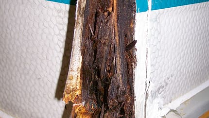 Ratgeber: Dichtigkeit