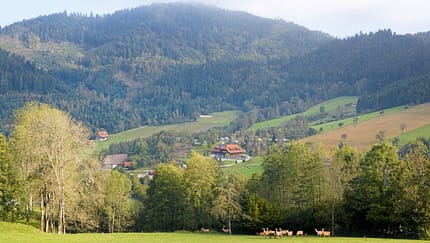 Ausblick