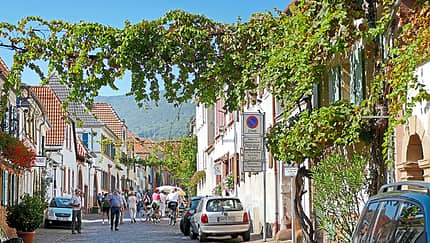 An einem sonnigen Sonntag in der Theresienstraße von Rhodt unter Rietburg.