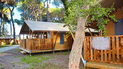 Glamping