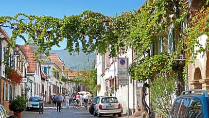 Reise-Tipp Pfalz 
