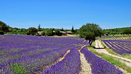 Reise Ardeche Frankreich