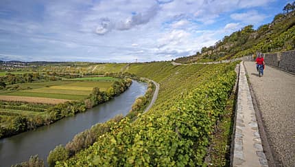 Neckarregion 