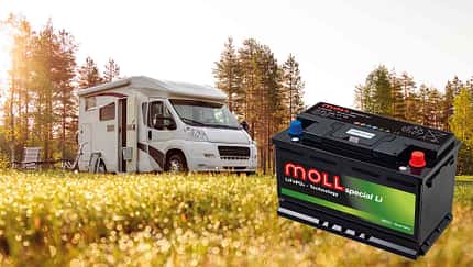 MOLL special Li