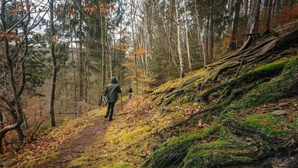 Thüringer Wald