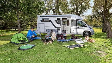 Hundezubehör Wohnmobil
