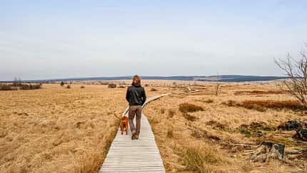Nationalpark Eifel
