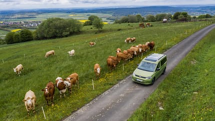 VW Caddy Californa, Praxis Test 2021