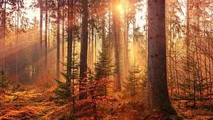 Tipps für den Herbst