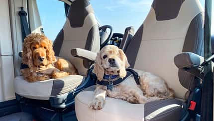 Urlaub, Hobbies, Wohnmobil