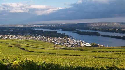 Rheingau