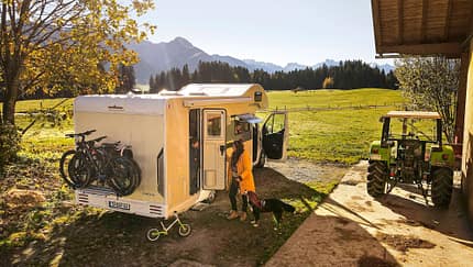 Alpaca Camping