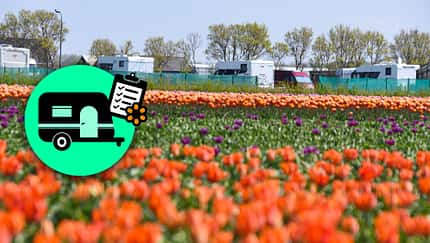 Benelux im FrŸhling Tulpen