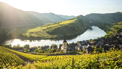 Moselsteig