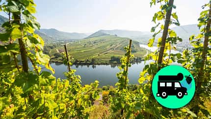 Mosel